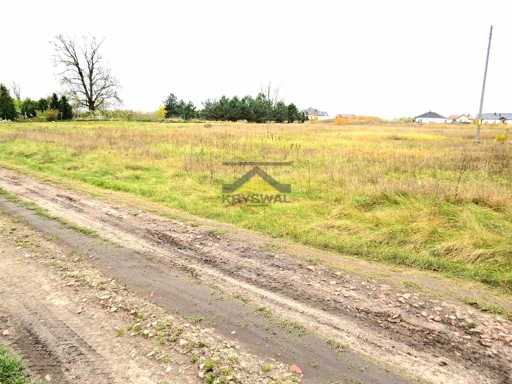 Zdjęcie 6