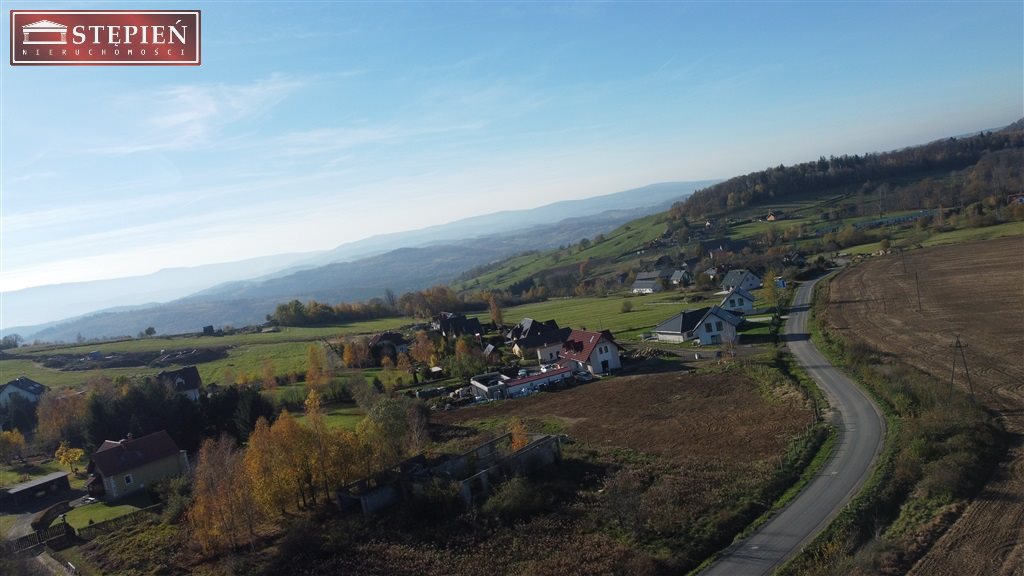 Zdjęcie 8