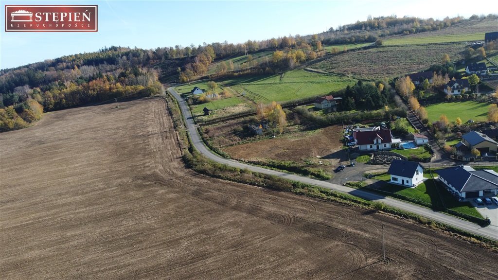 Zdjęcie 12