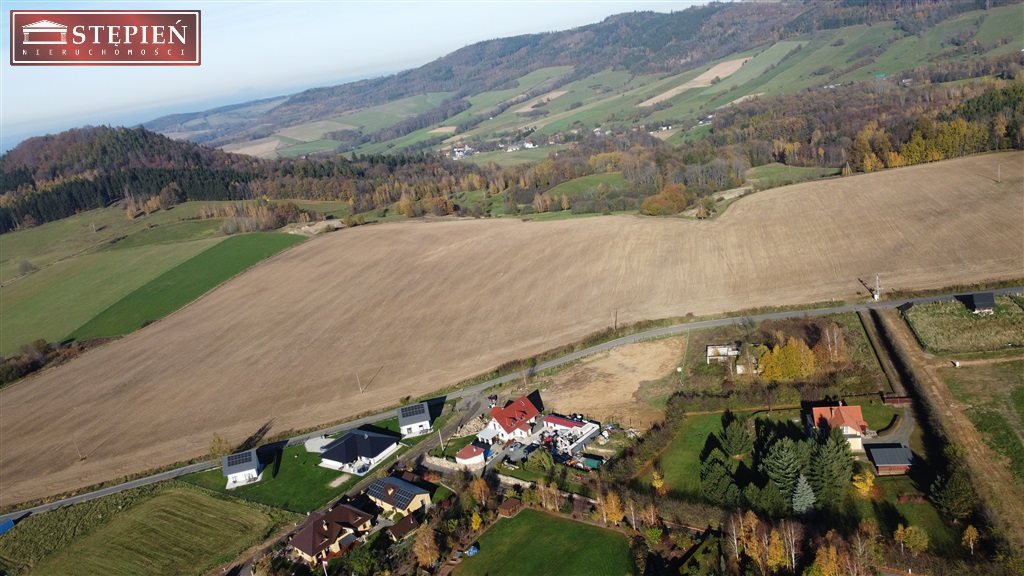 Zdjęcie 13
