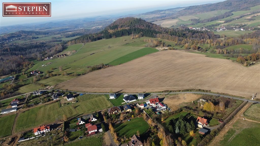 Zdjęcie 14