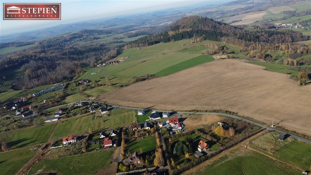 Zdjęcie 15