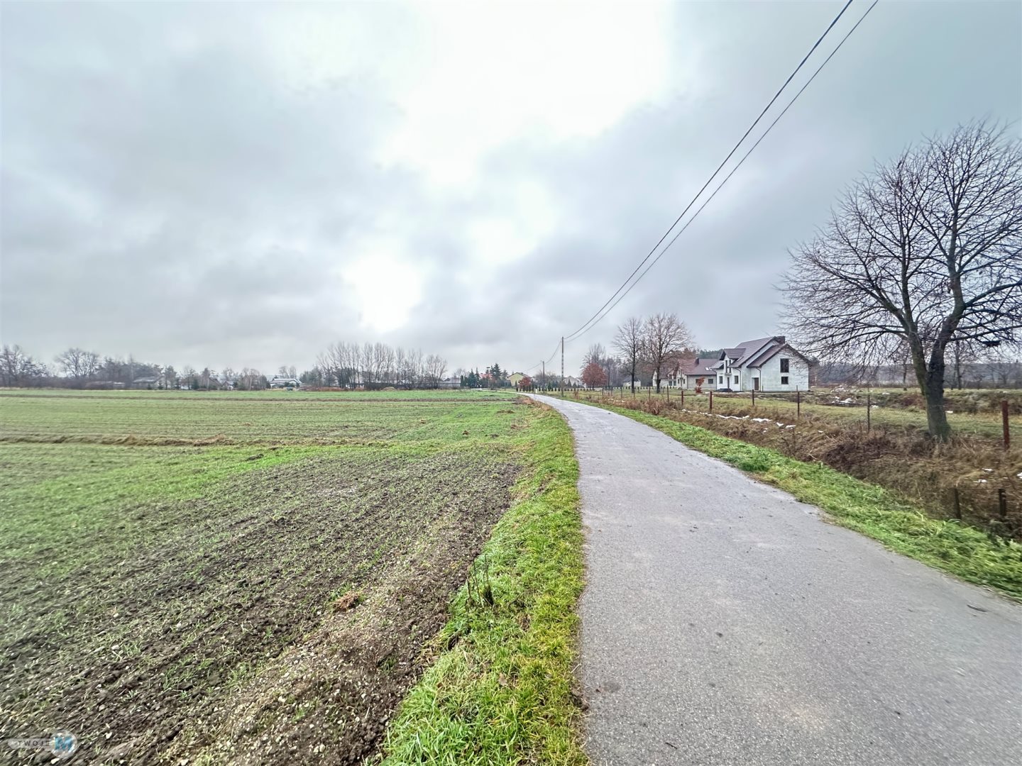 Zdjęcie 10