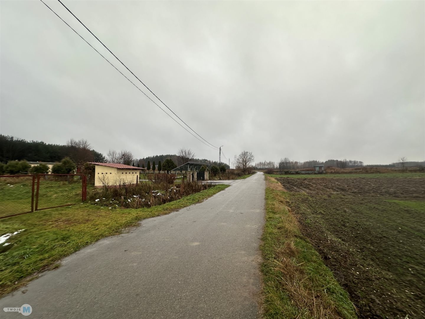 Zdjęcie 11