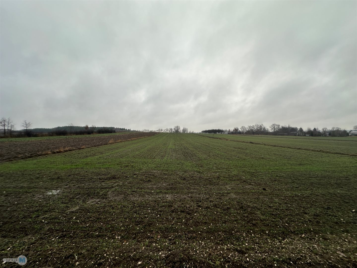 Zdjęcie 12