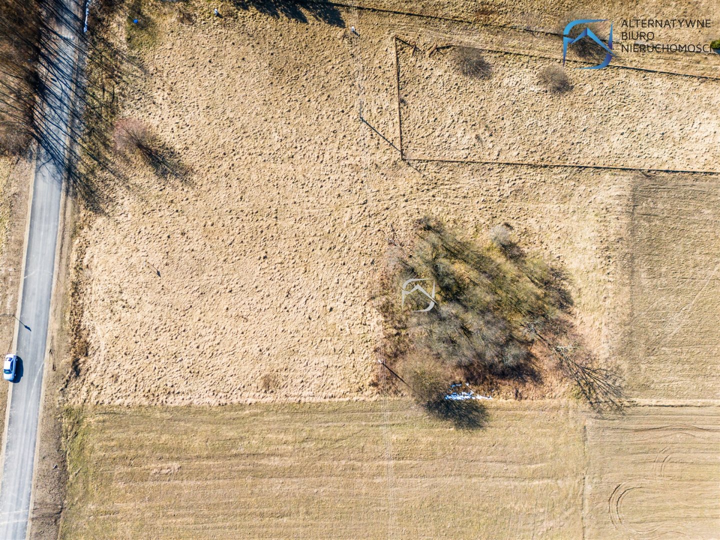 Zdjęcie 18