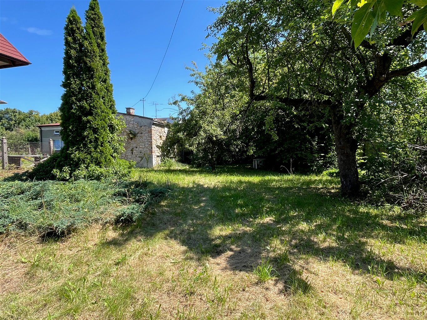 Zdjęcie 15
