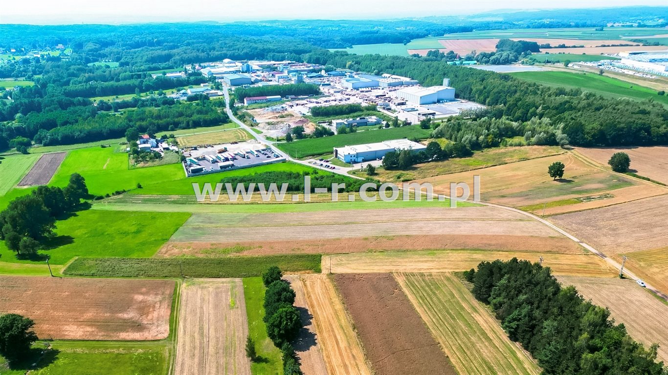 Zdjęcie 5
