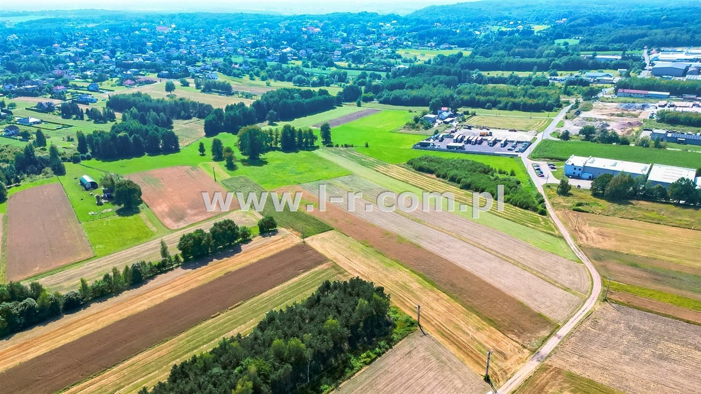 Zdjęcie 13