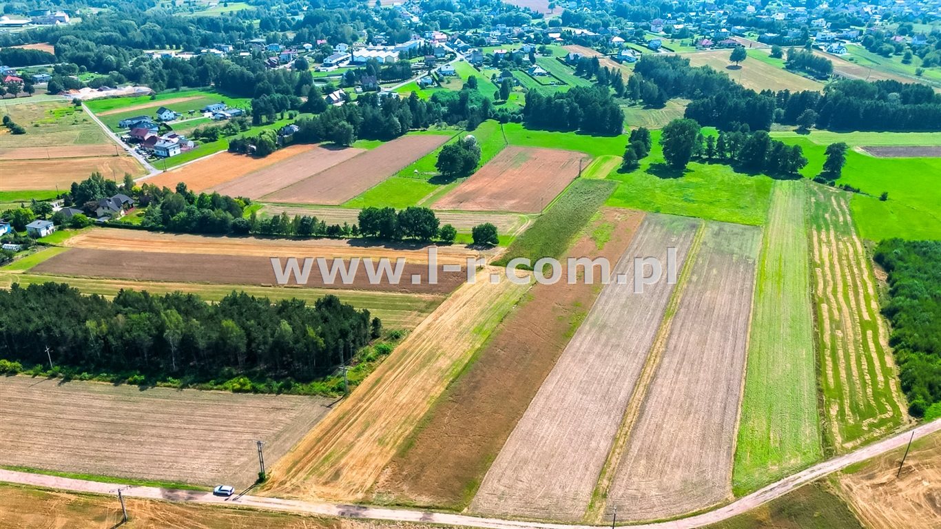 Zdjęcie 14