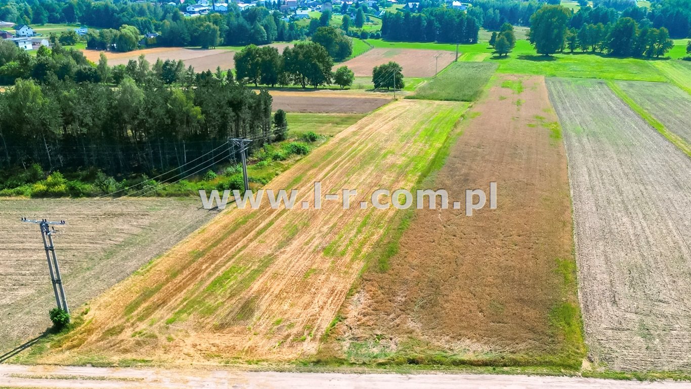 Zdjęcie 15