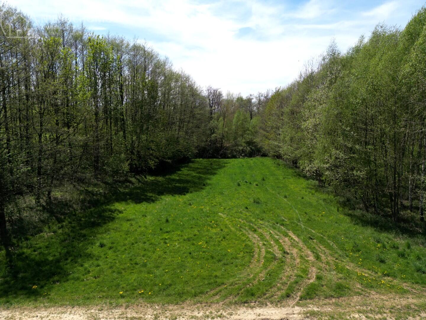 Zdjęcie 12