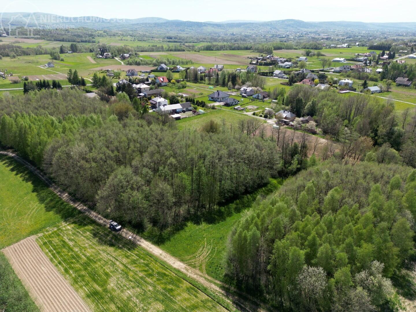 Zdjęcie 15