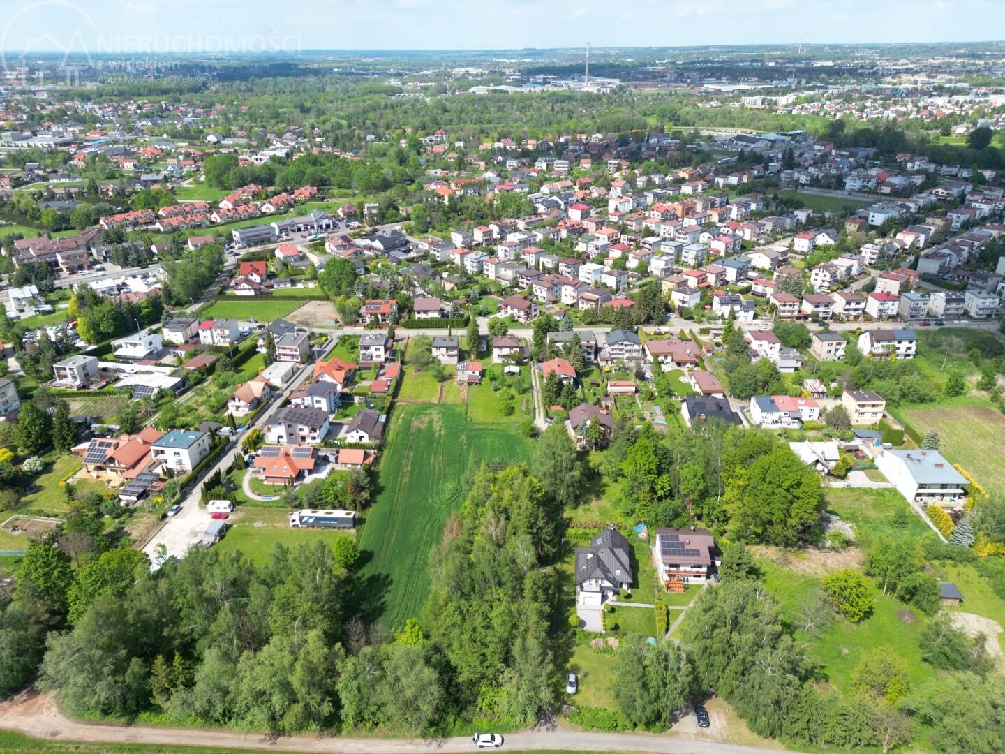 Zdjęcie 12