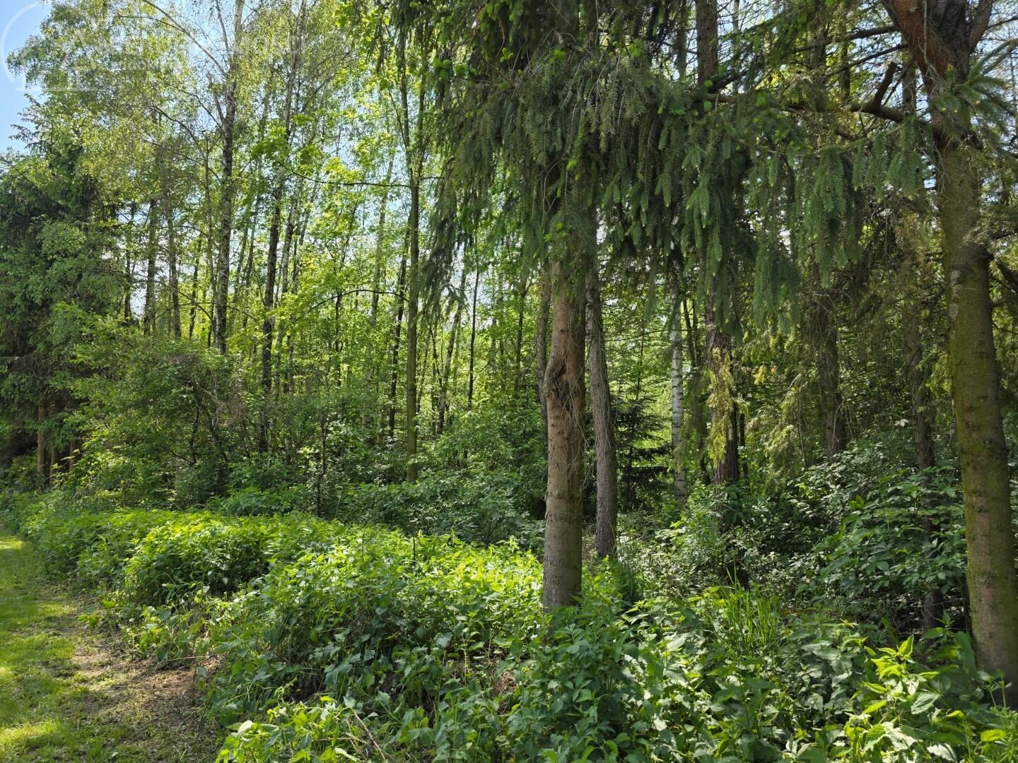 Zdjęcie 14