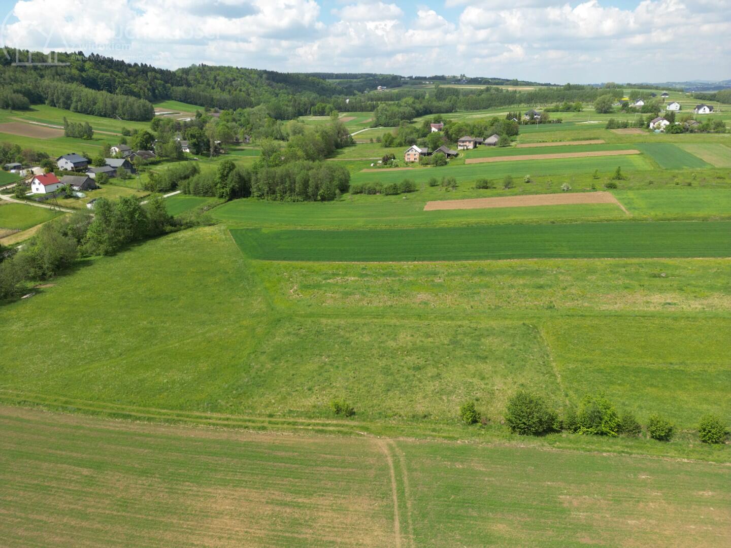 Zdjęcie 12