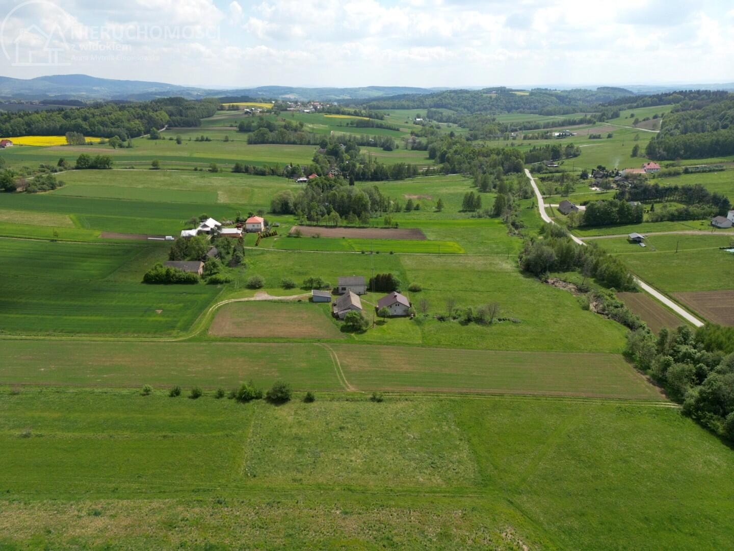 Zdjęcie 15
