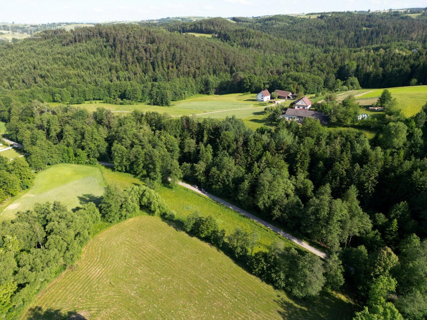 Zdjęcie 15