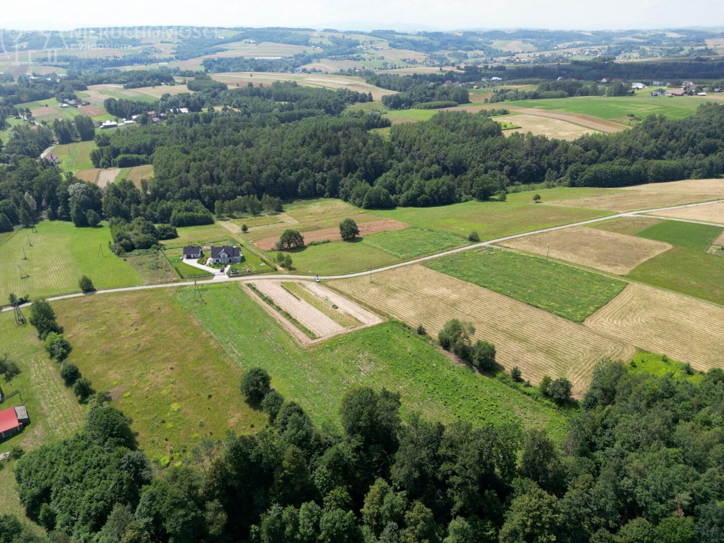 Zdjęcie 12