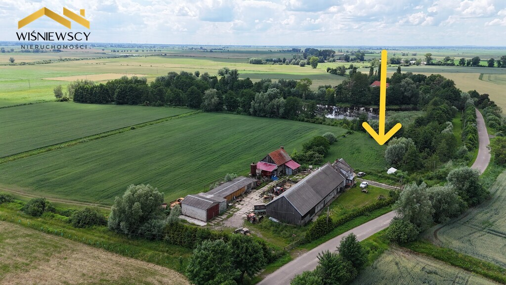 Zdjęcie 5