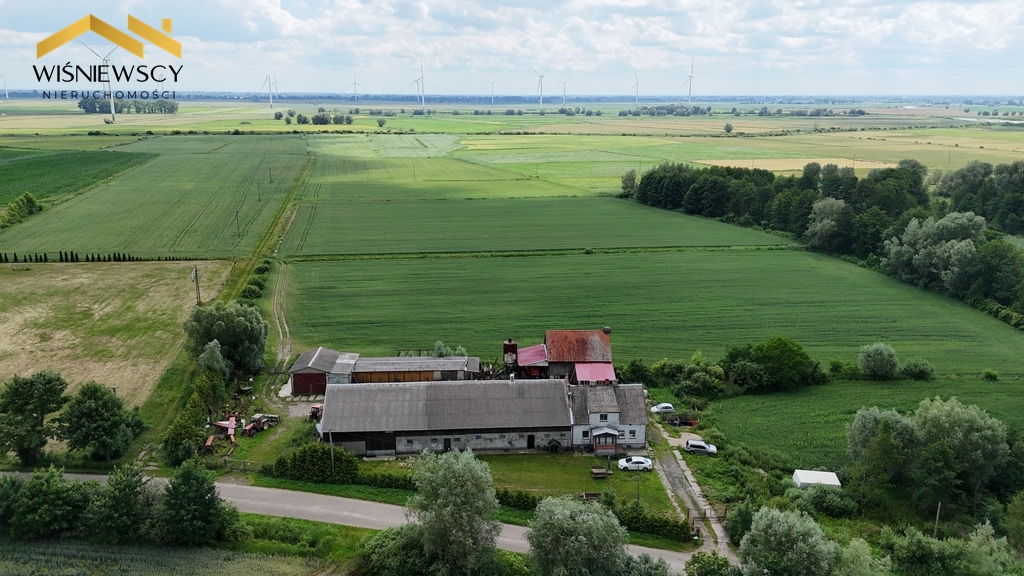Zdjęcie 6