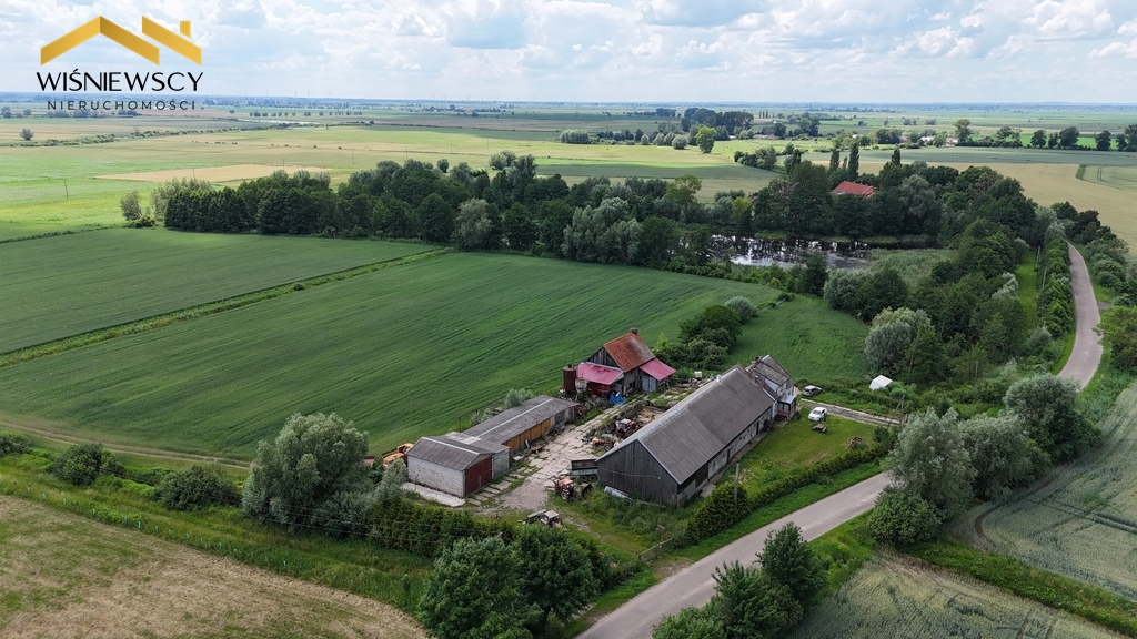 Zdjęcie 7