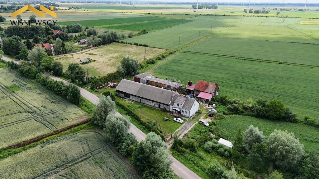 Zdjęcie 8