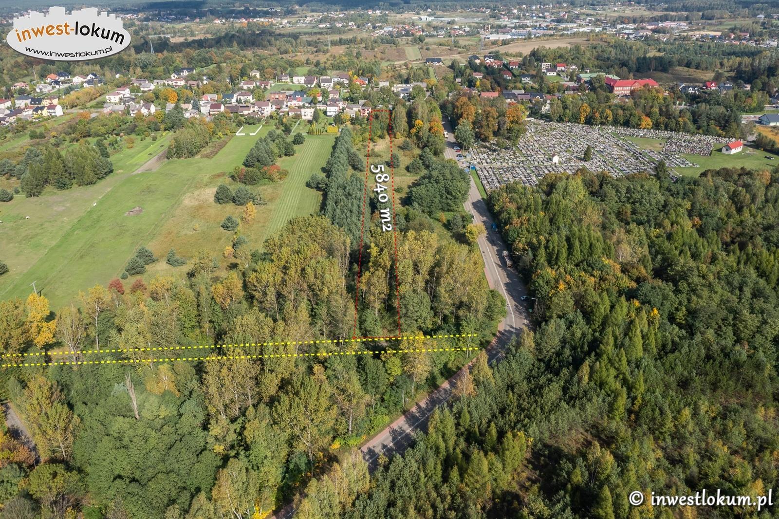 Zdjęcie 3