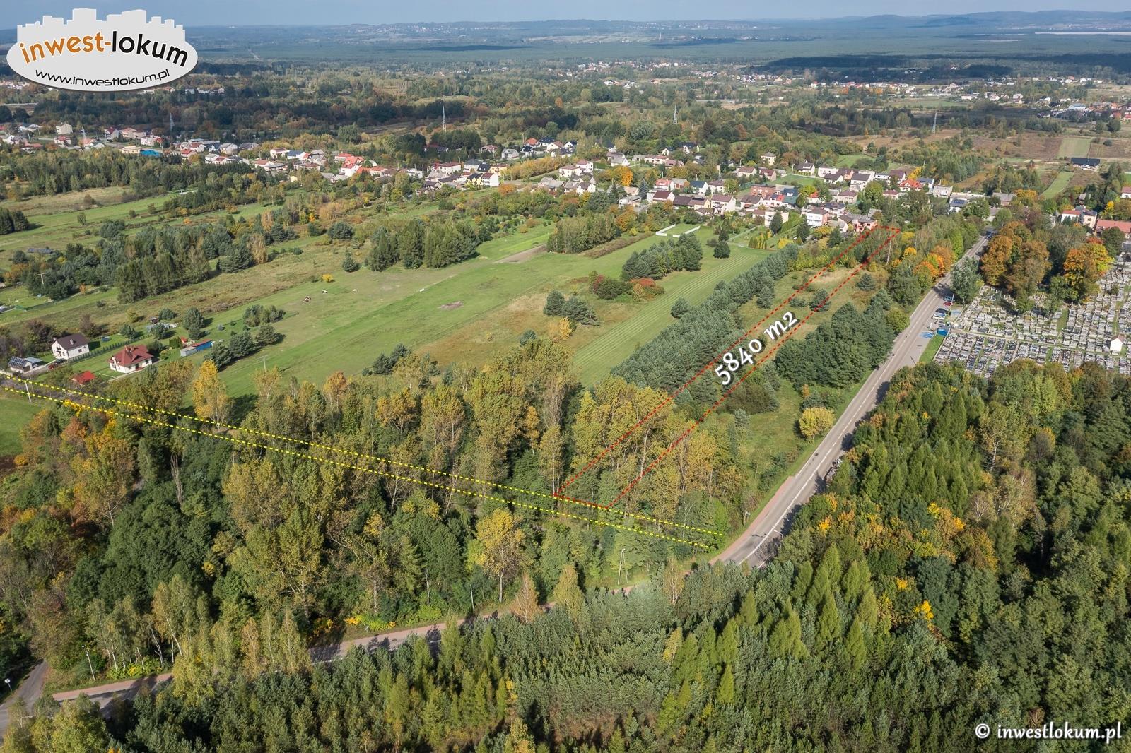 Zdjęcie 4