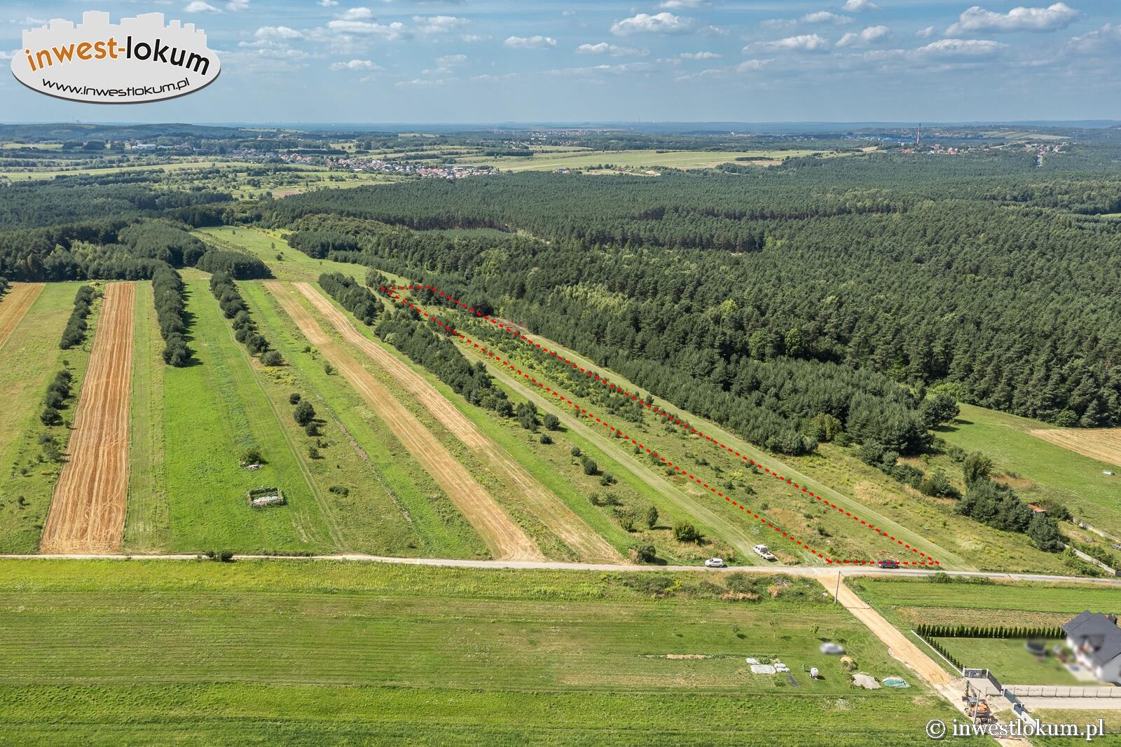 Zdjęcie 5