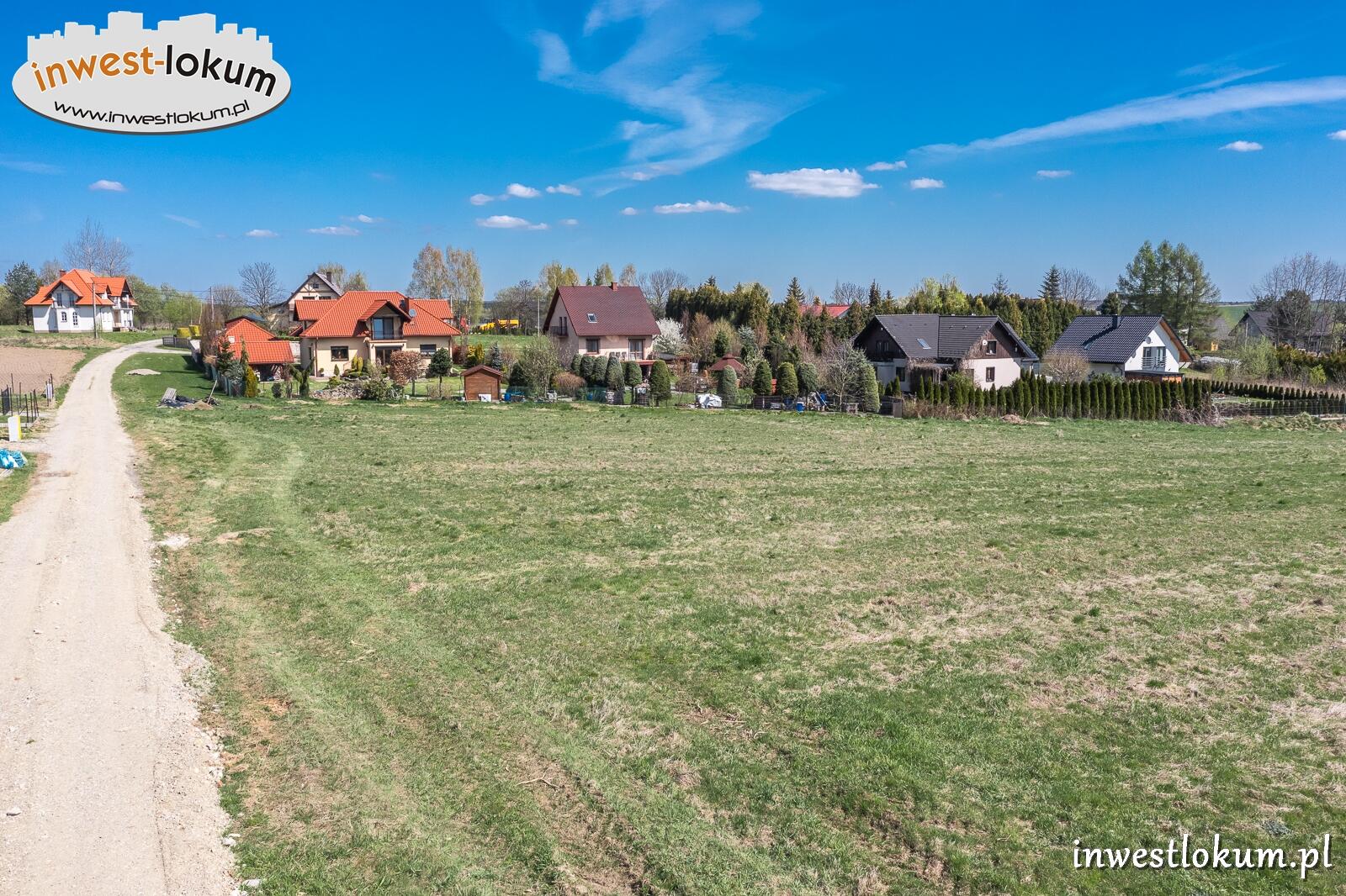Zdjęcie 12