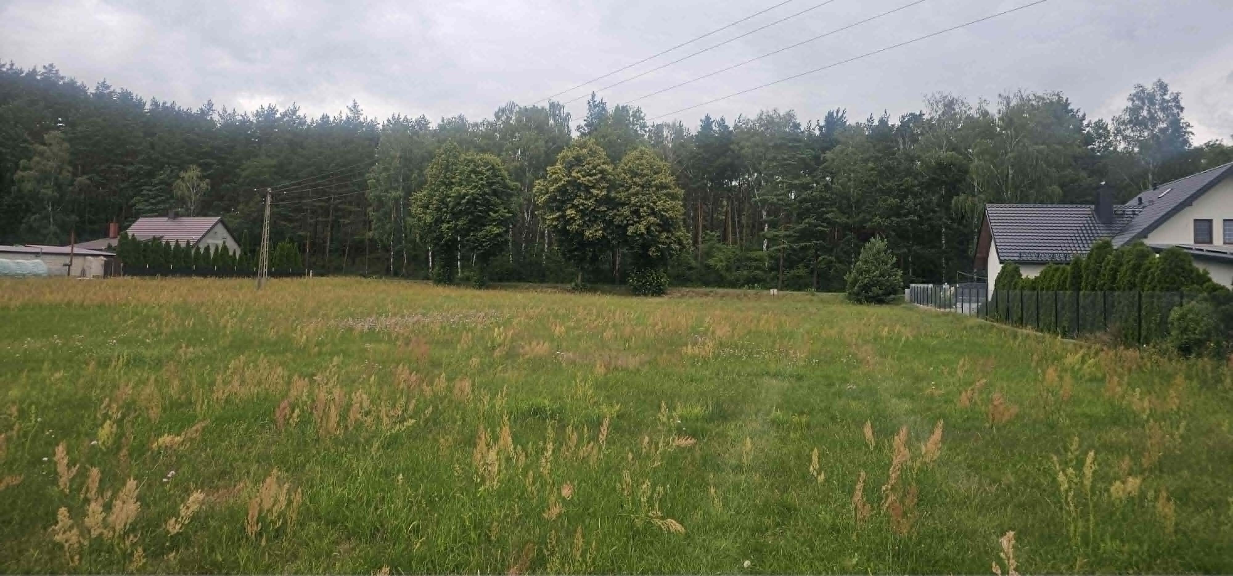 Zdjęcie 6
