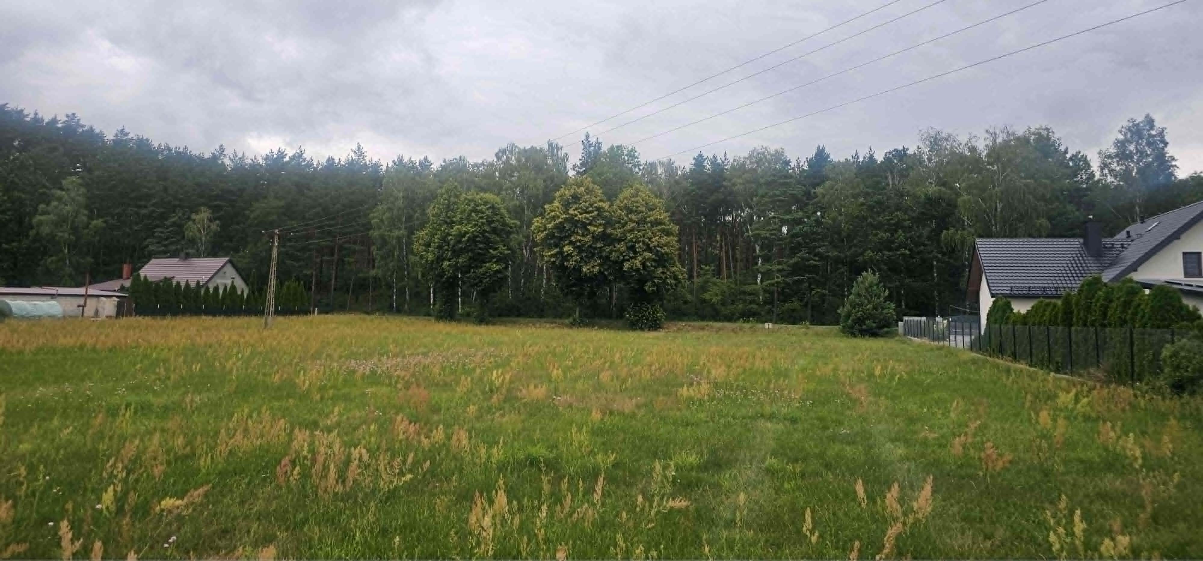 Zdjęcie 7