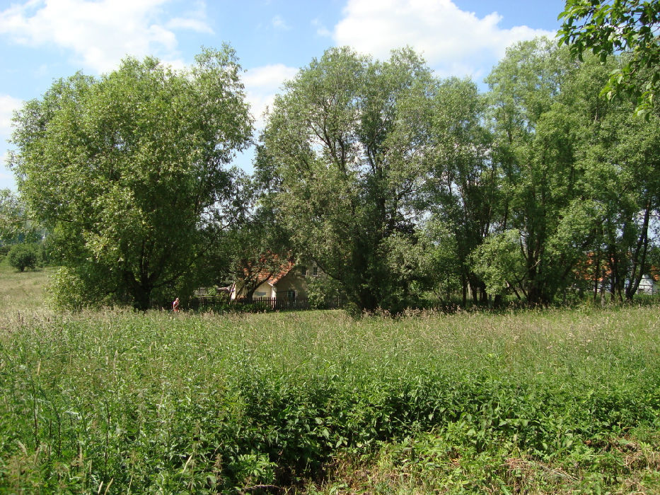 Zdjęcie 5
