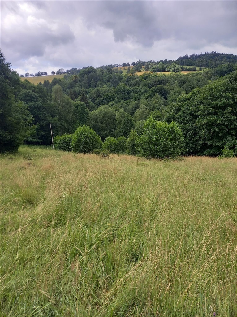 Zdjęcie 5