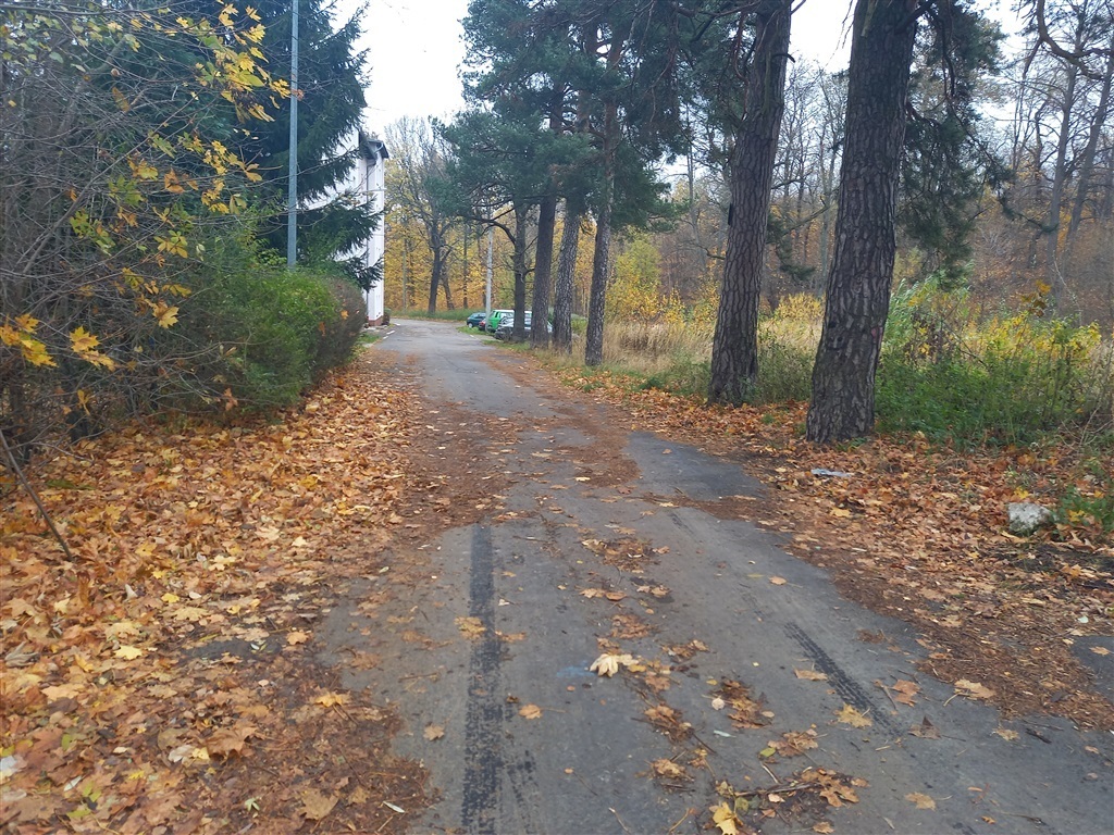 Zdjęcie 4