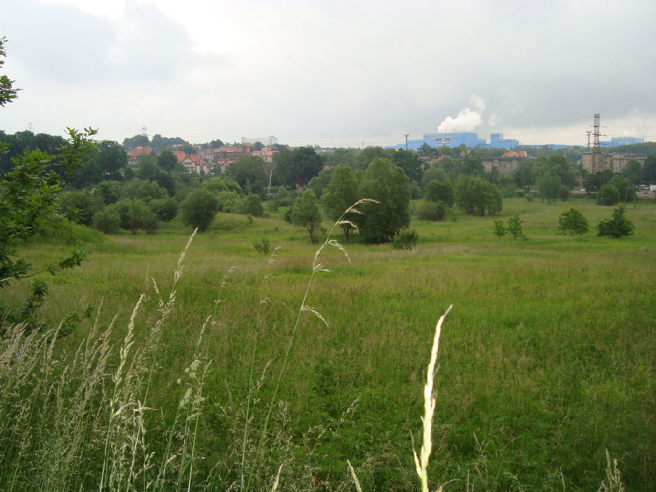 Zdjęcie 2