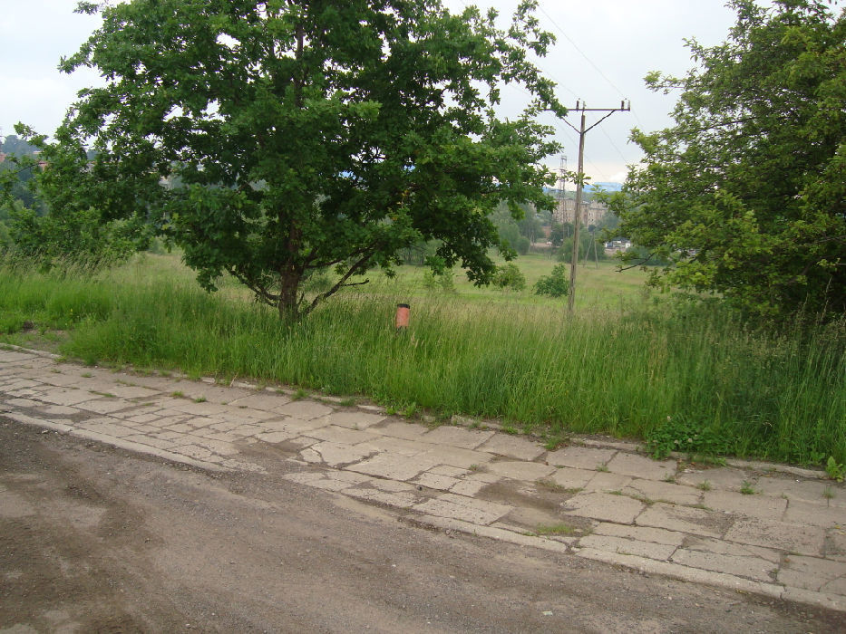 Zdjęcie 3