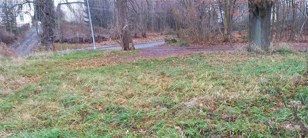 Zdjęcie 2