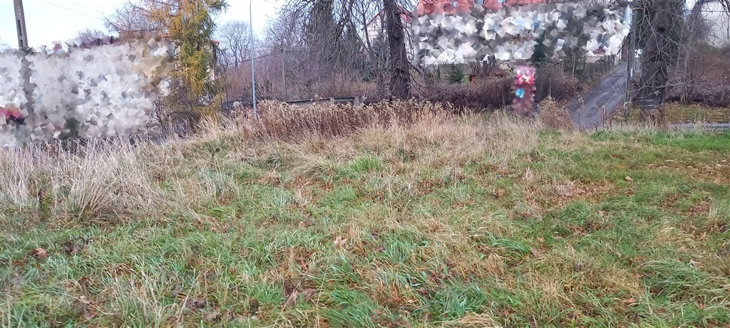 Zdjęcie 3