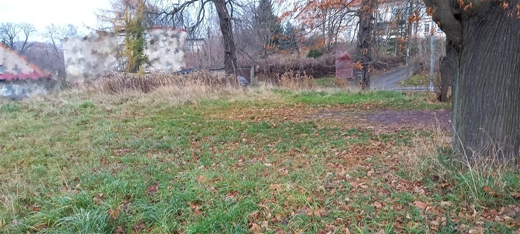 Zdjęcie 4