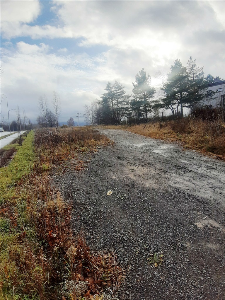 Zdjęcie 2