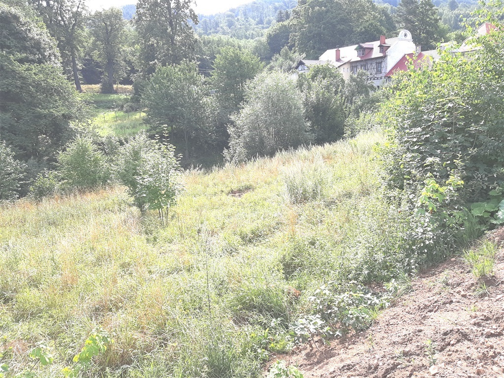 Zdjęcie 3