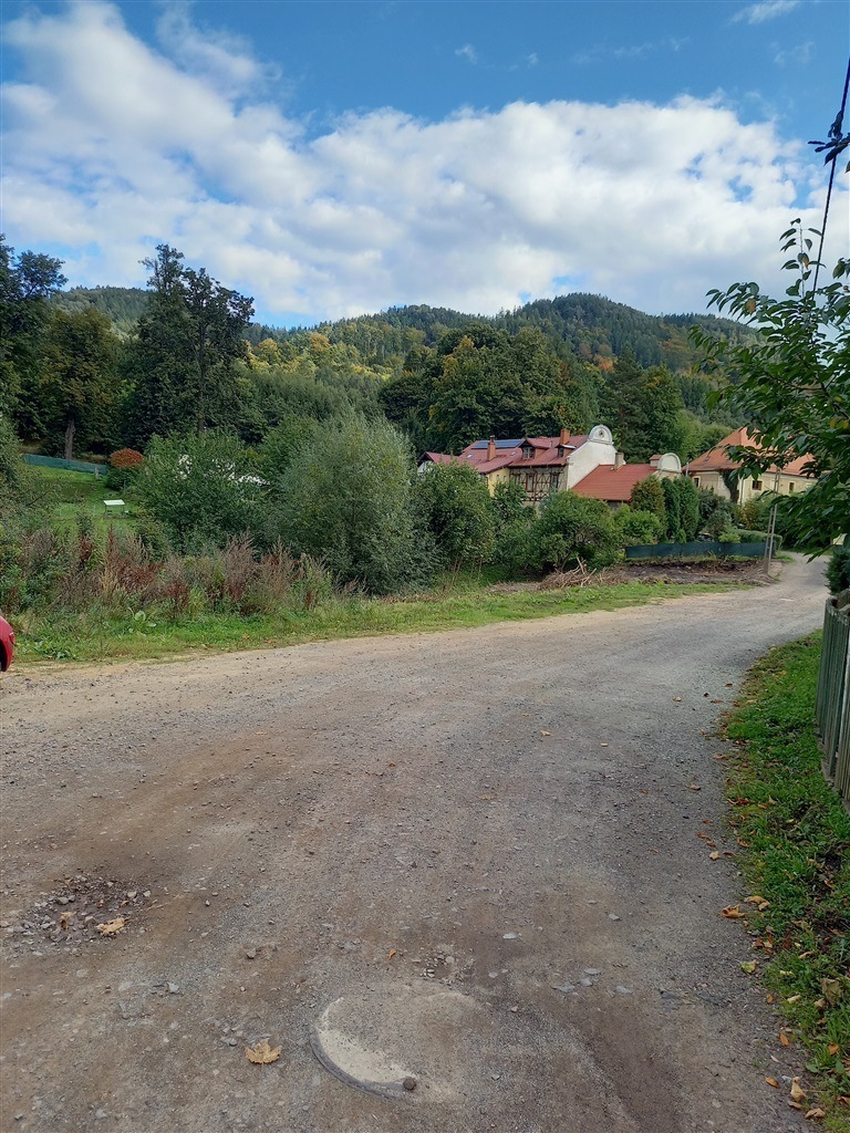 Zdjęcie 6