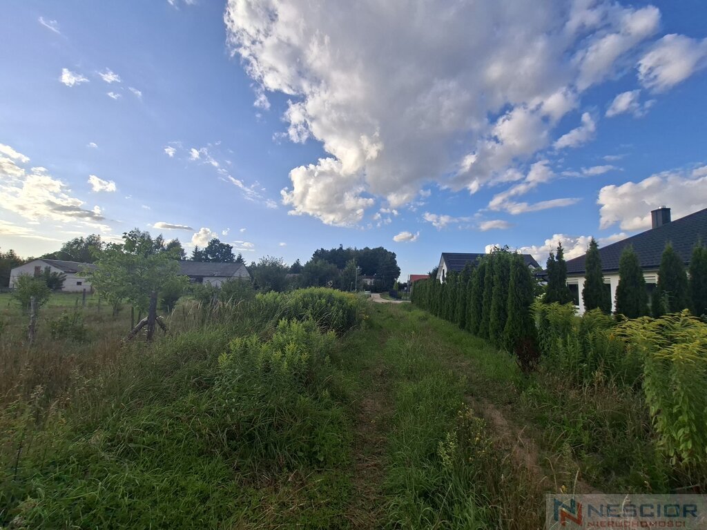 Zdjęcie 4