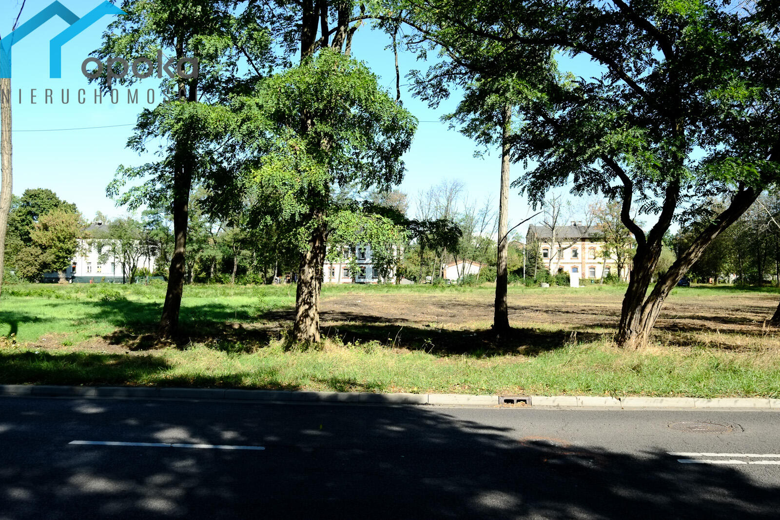Zdjęcie 6