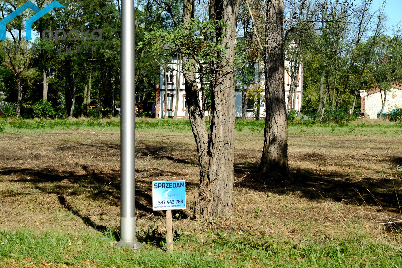 Zdjęcie 8