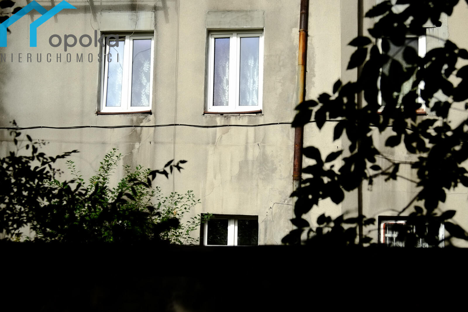 Zdjęcie 14