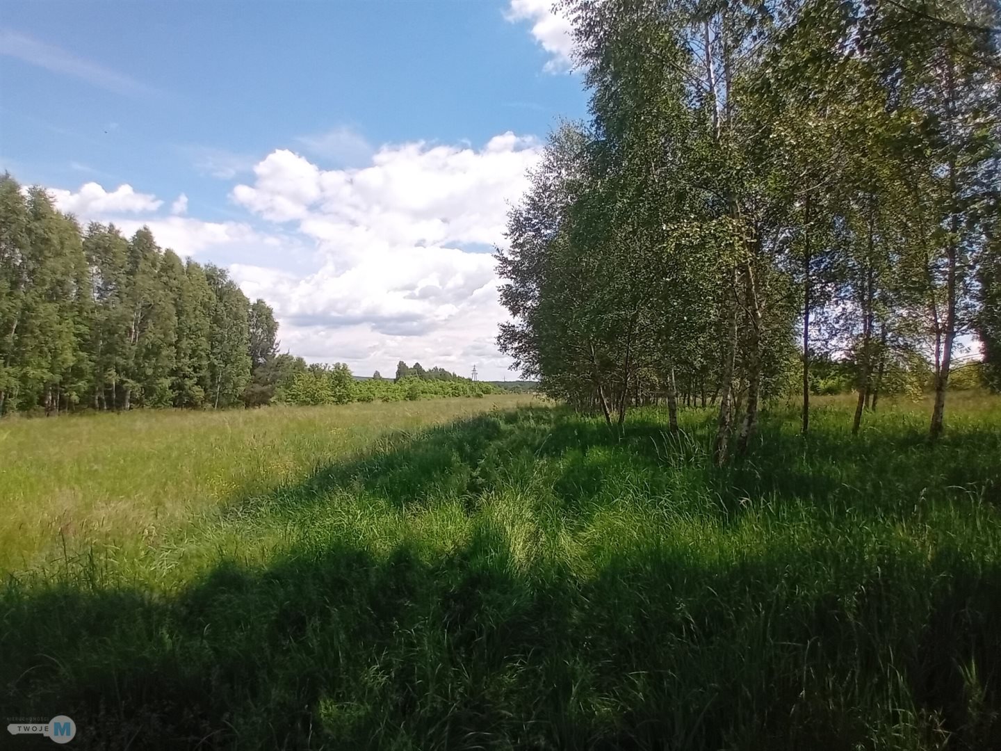 Zdjęcie 12