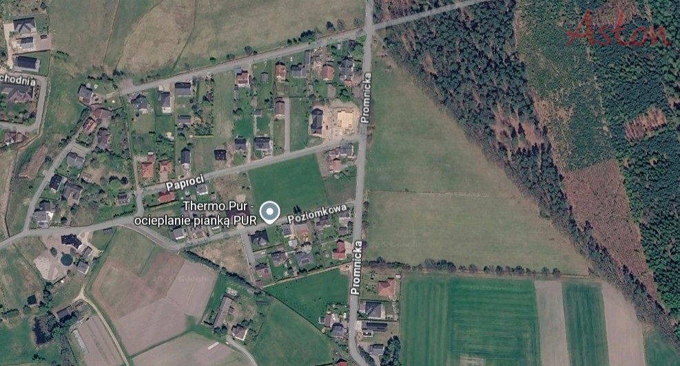 Zdjęcie 5